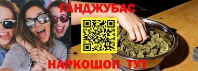 дмт Кингисепп