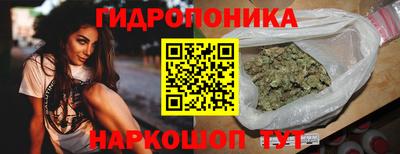 дмт Кингисепп