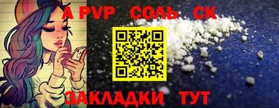 дмт Кингисепп