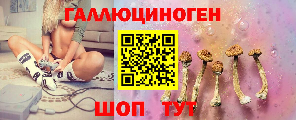 Псилоцибиновые грибы Cubensis Балтийск
