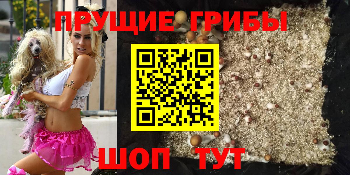 Балтийск  Псилоцибиновые грибы MAGIC MUSHROOMS  Вход с VPN 